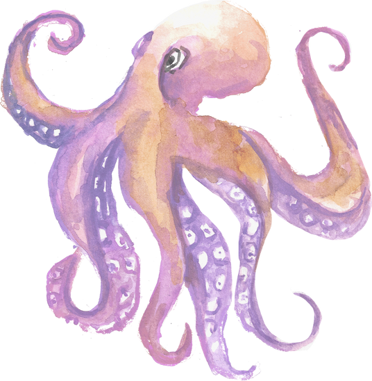 octopus watercolor ocean animal