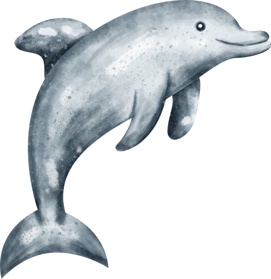 watercolor dolphin